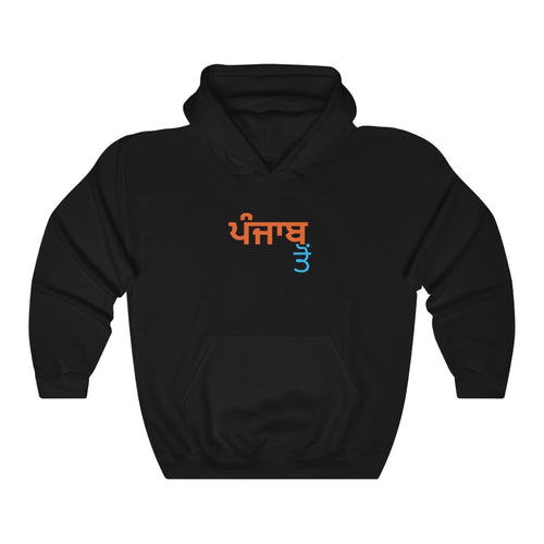 'From Punjab, In Punjabi' - Black / L - PB Zero